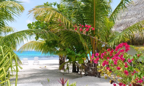 Pension Tikehau Paradise